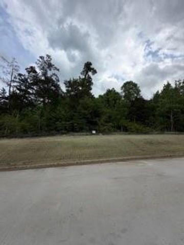 139785 Winters Vista Drive, Willis, TX 77378