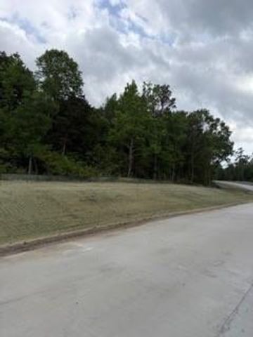 139785 Winters Vista Drive, Willis, TX 77378
