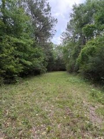 139785 Winters Vista Drive, Willis, TX 77378