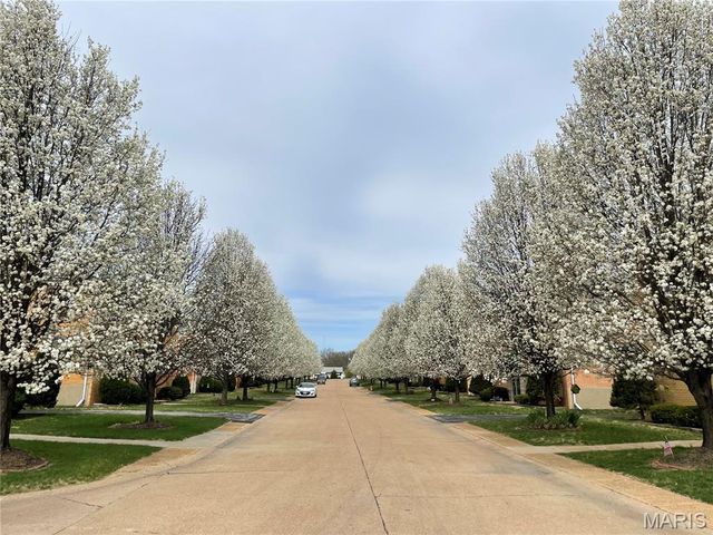 4228 Fatima Drive, Unincorporated, MO 63123