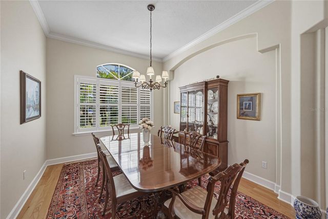 19616 AMAZON BASIN BEND, Lutz, FL 33559