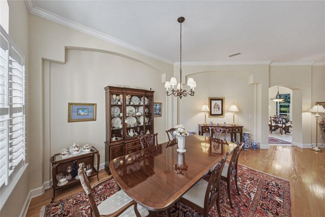 19616 AMAZON BASIN BEND, Lutz, FL 33559