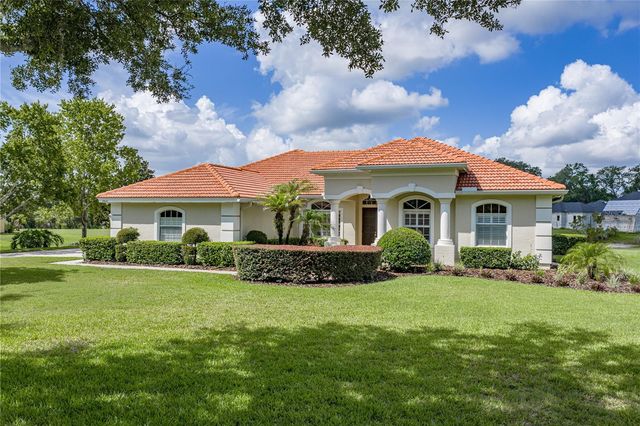 19616 AMAZON BASIN BEND, Lutz, FL 33559