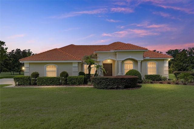 19616 AMAZON BASIN BEND, Lutz, FL 33559
