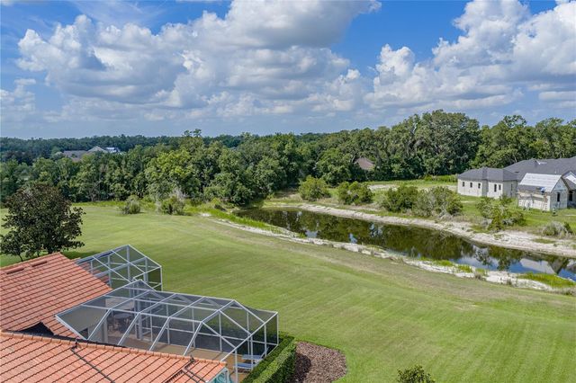 19616 AMAZON BASIN BEND, Lutz, FL 33559