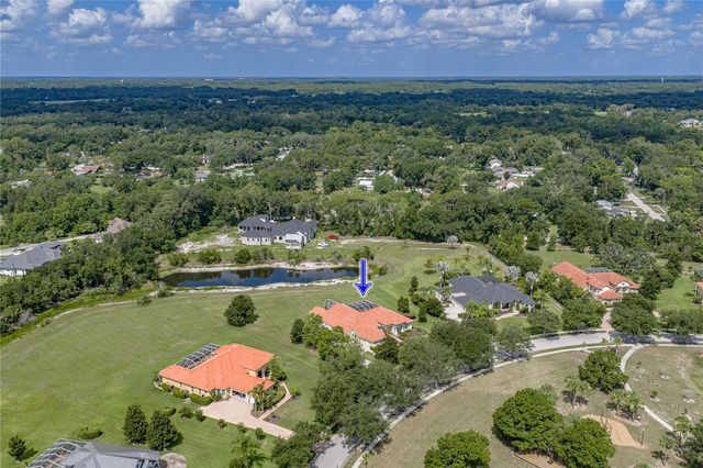 19616 AMAZON BASIN BEND, Lutz, FL 33559