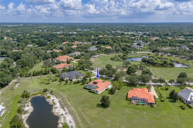19616 AMAZON BASIN BEND, Lutz, FL 33559