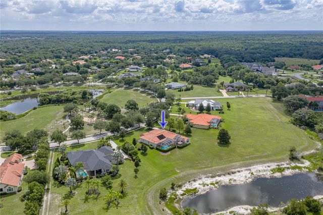 19616 AMAZON BASIN BEND, Lutz, FL 33559