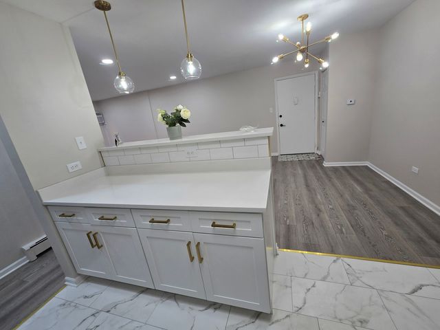 984 Crabapple Drive 102, Prospect Heights, IL 60070