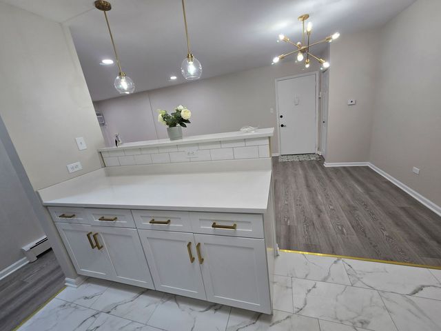 984 Crabapple Drive 102, Prospect Heights, IL 60070