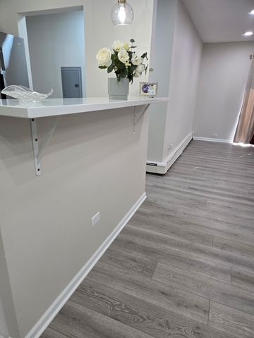 984 Crabapple Drive 102, Prospect Heights, IL 60070