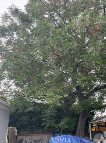 851 E 32nd Street, Los Angeles, CA 90011