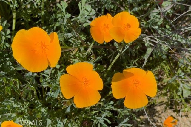 47925 Chris Allen Way, Aguanga, CA 92536