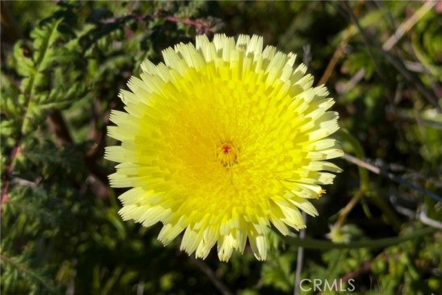 47925 Chris Allen Way, Aguanga, CA 92536