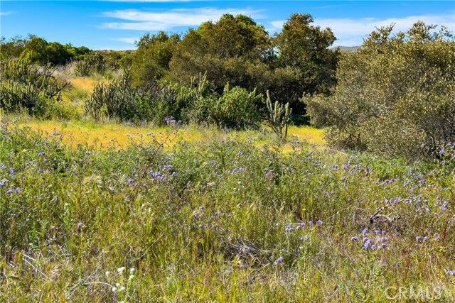 47925 Chris Allen Way, Aguanga, CA 92536