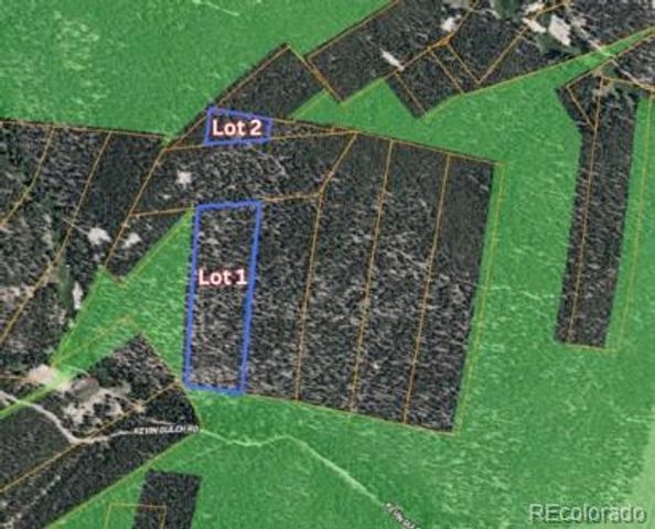 111 Kevin Gulch Road, Leadville, CO 80461