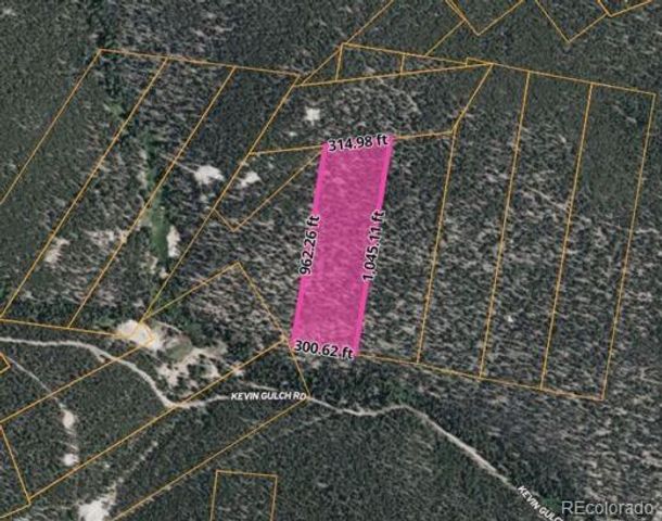 111 Kevin Gulch Road, Leadville, CO 80461