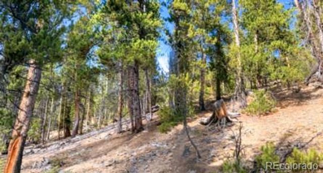 111 Kevin Gulch Road, Leadville, CO 80461