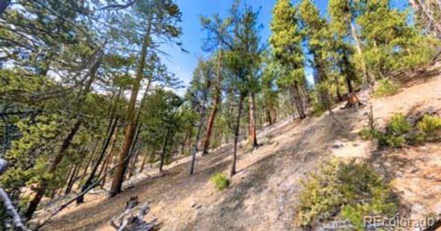 111 Kevin Gulch Road, Leadville, CO 80461