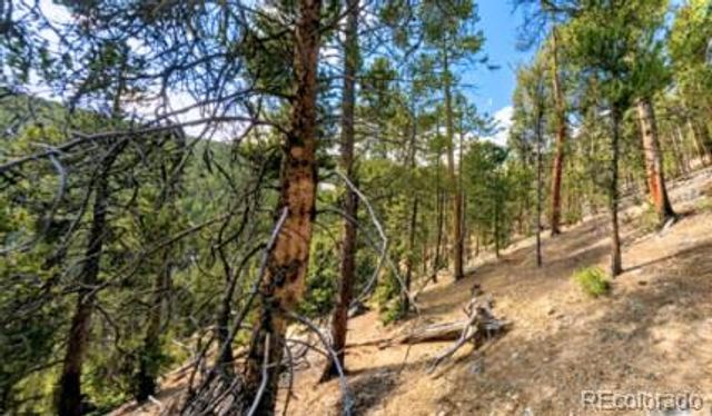 111 Kevin Gulch Road, Leadville, CO 80461
