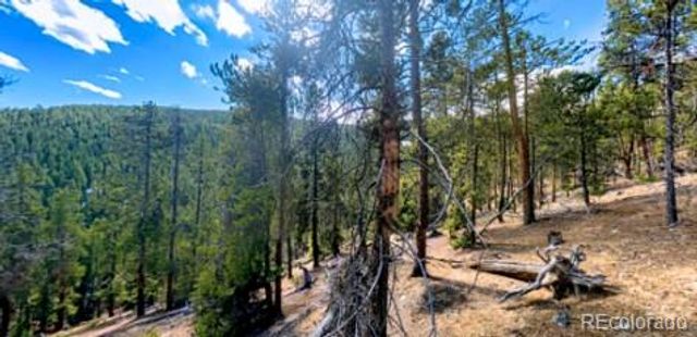 111 Kevin Gulch Road, Leadville, CO 80461