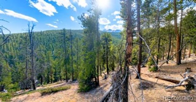 111 Kevin Gulch Road, Leadville, CO 80461