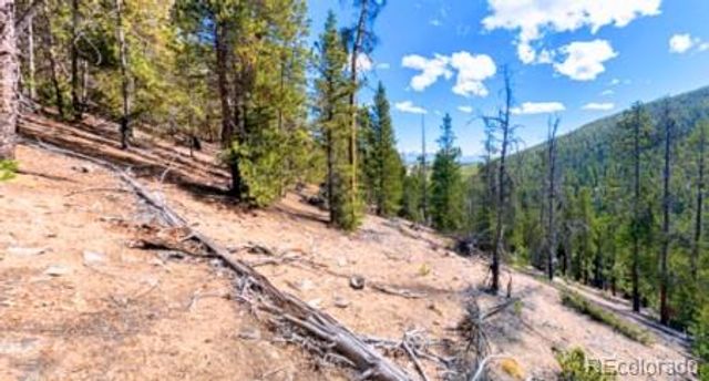 111 Kevin Gulch Road, Leadville, CO 80461