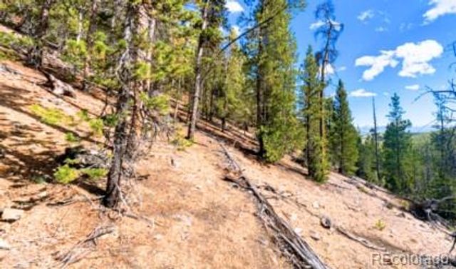 111 Kevin Gulch Road, Leadville, CO 80461