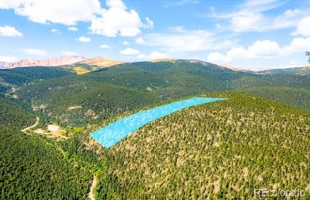 111 Kevin Gulch Road, Leadville, CO 80461