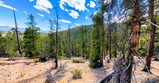111 Kevin Gulch Road, Leadville, CO 80461