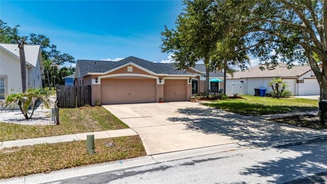 10313 TARRAGON DRIVE, Riverview, FL 33569
