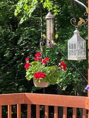 5466 Millbrook Drive, Whitewater Twp, MI 49690