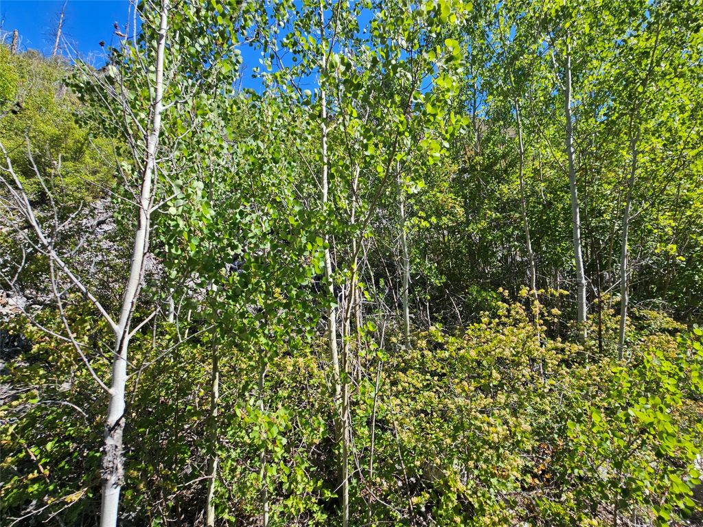 80 Upper Packer Gulch Road, Drummond, MT 59832