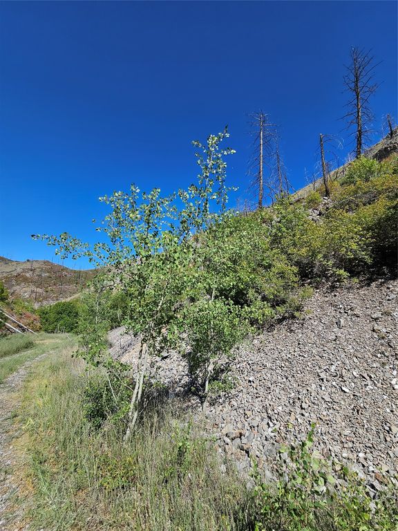 80 Upper Packer Gulch Road, Drummond, MT 59832 photo 11
