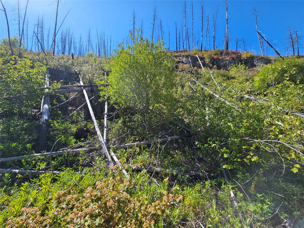 80 Upper Packer Gulch Road, Drummond, MT 59832 photo 3