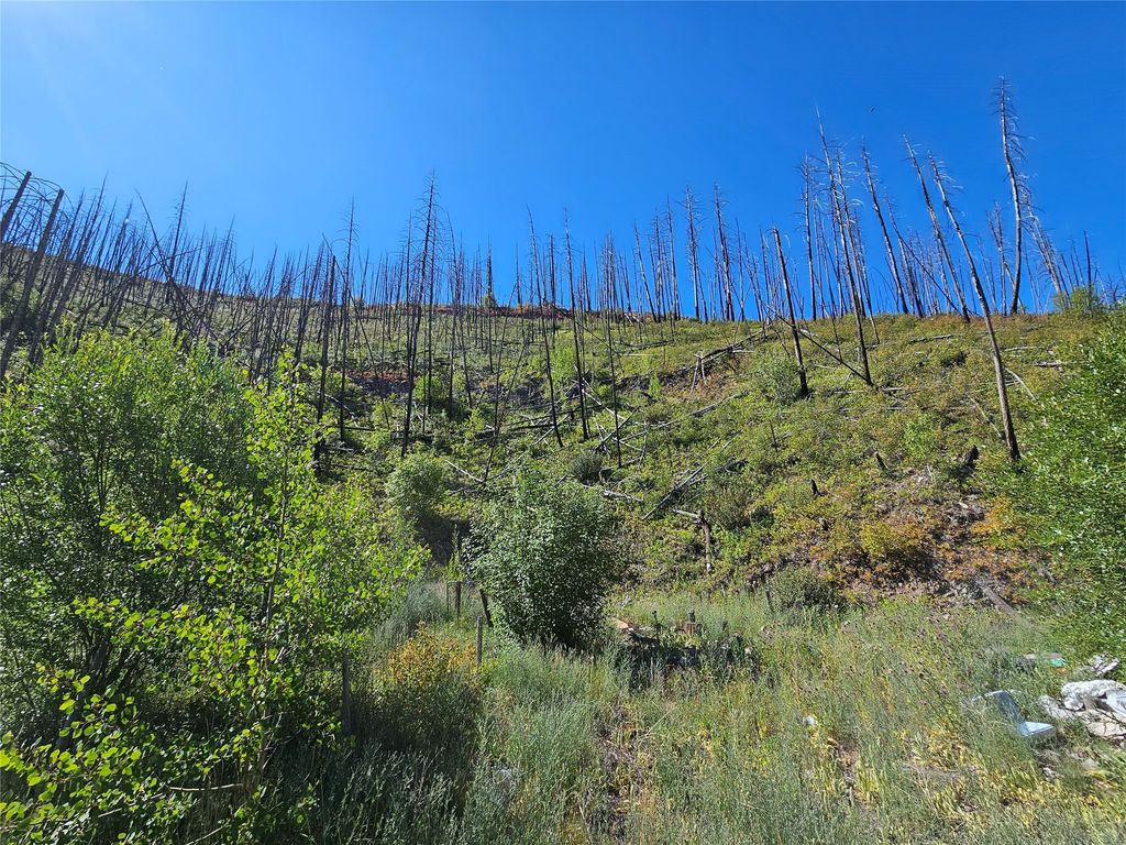 80 Upper Packer Gulch Road, Drummond, MT 59832 photo 5