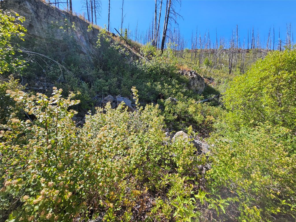 80 Upper Packer Gulch Road, Drummond, MT 59832 photo 8