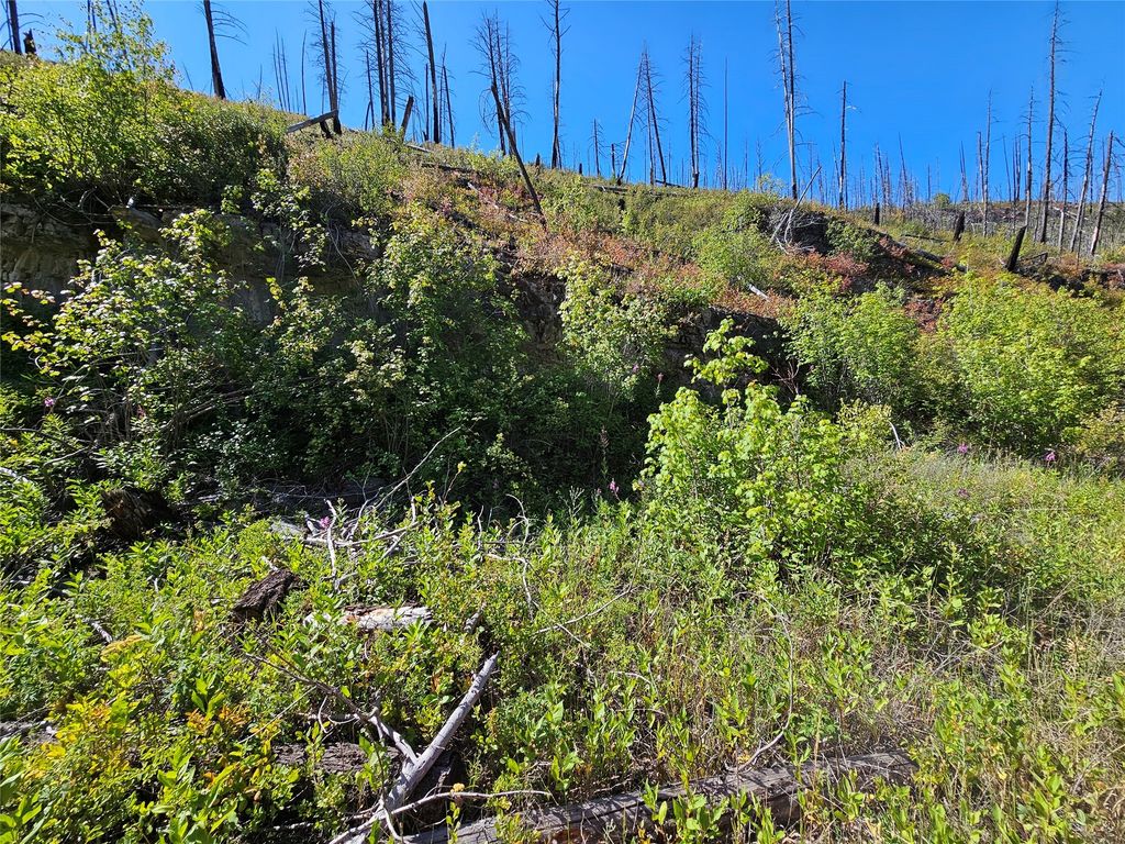 80 Upper Packer Gulch Road, Drummond, MT 59832 photo 9