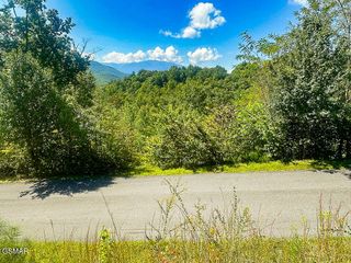 Lot 78 Vixen Run, Gatlinburg, TN 37738