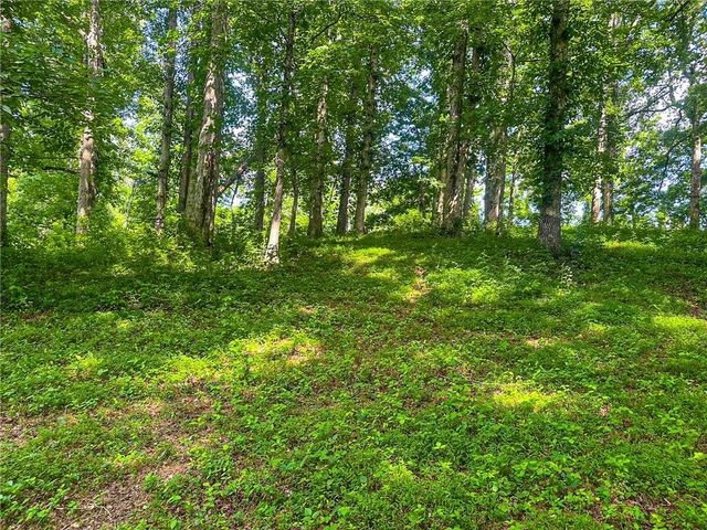 2051 Clay Creek Falls Road, Dahlonega, GA 30533