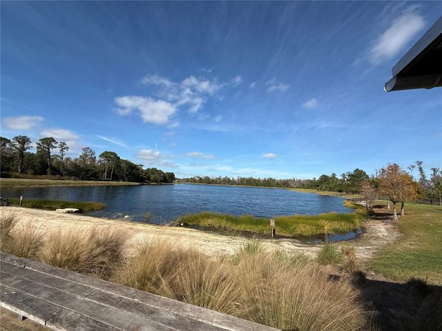 3973 MAURICE AVENUE, Odessa, FL 33556