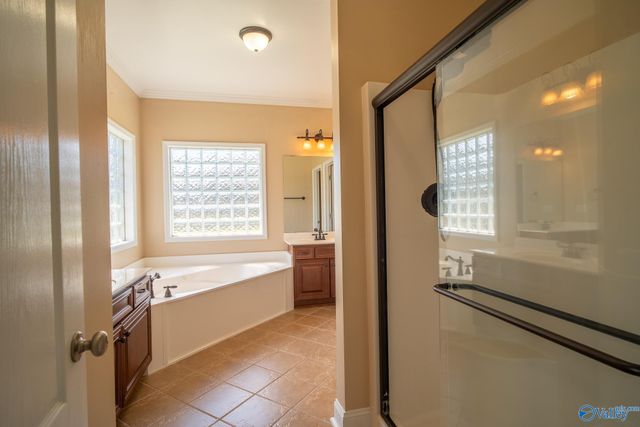 178 Sarah Jane Drive, Madison, AL 35757