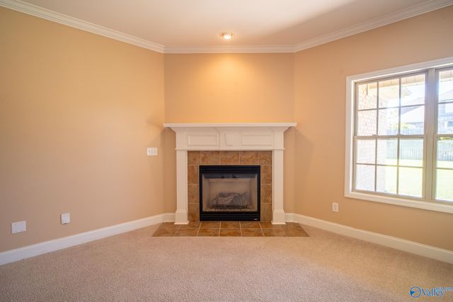 178 Sarah Jane Drive, Madison, AL 35757