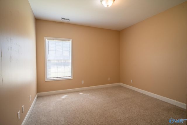 178 Sarah Jane Drive, Madison, AL 35757