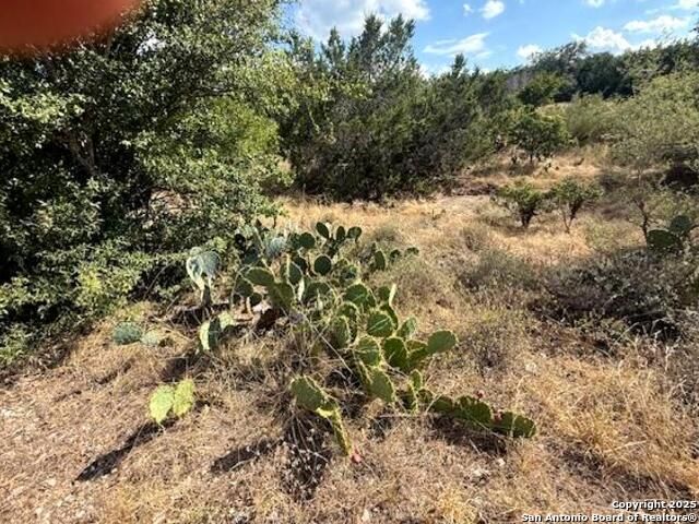 263 Copper Trace, New Braunfels, TX 78132