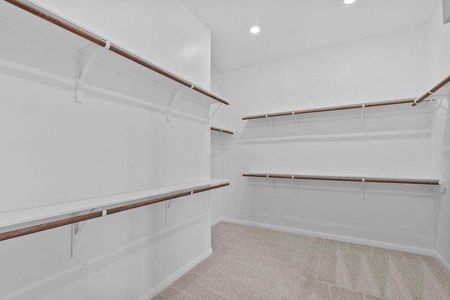 2513 Gleaming Pear Drive, Manvel, TX 77578