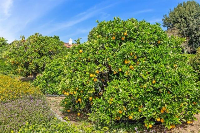 1787 Armadale Road, Fallbrook, CA 92028