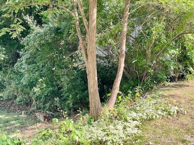 44 Boardman Street,, Worcester, MA 01606