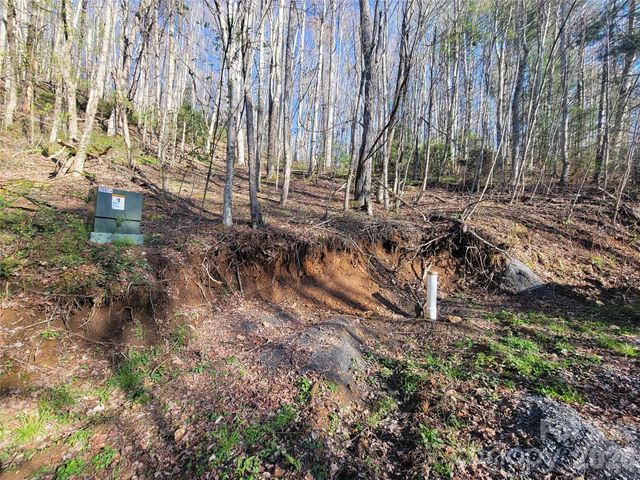 111 Digging Seng Trail 138, Waynesville, NC 28785