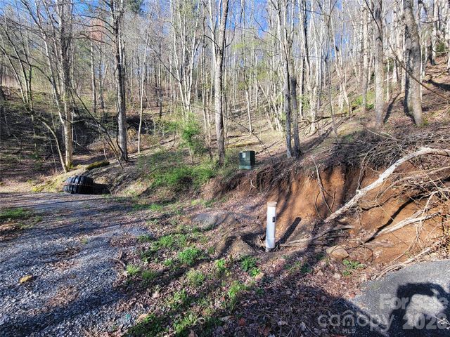 111 Digging Seng Trail 138, Waynesville, NC 28785
